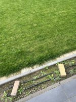 IMG_2116.jpeg