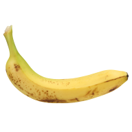 MrHaroldA